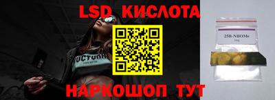 дживик Новозыбков