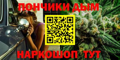 альфа пвп Новодвинск