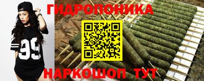 дживик Новозыбков