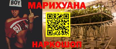 альфа пвп Новодвинск