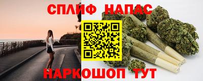 дживик Новозыбков